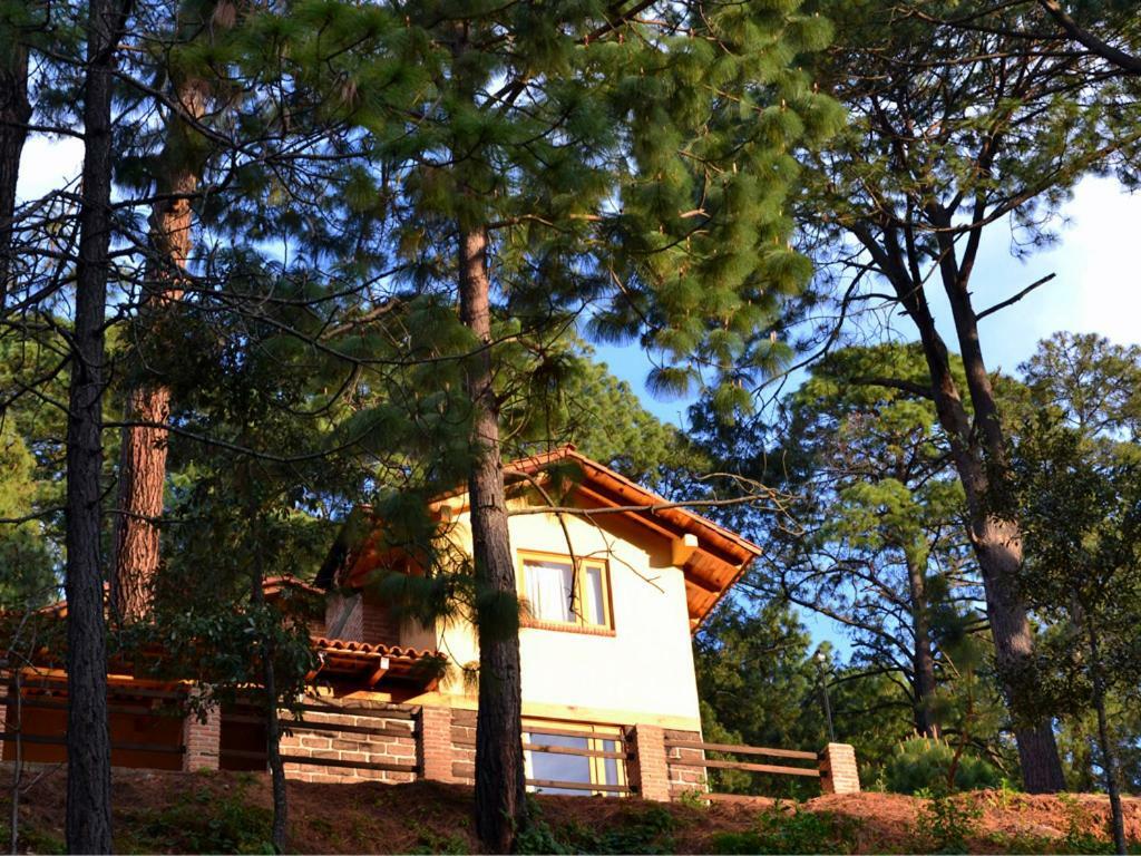 Bosque La Luna Mazamitla Exterior photo